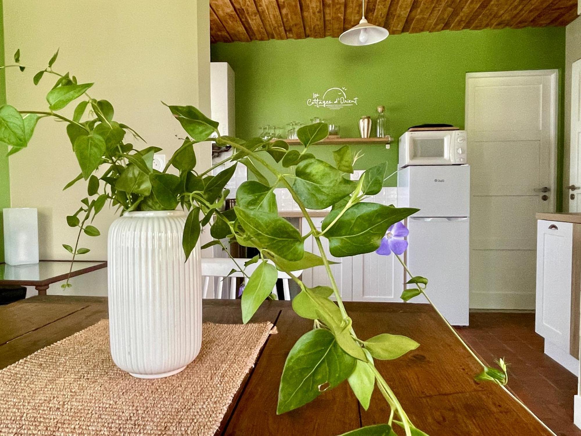 Les Cottages D'Orient Gite Boutique Mesnil-Saint-Père المظهر الخارجي الصورة